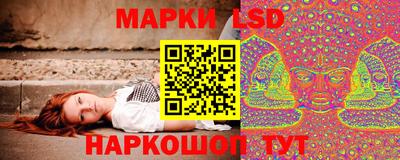 дмт Камышлов