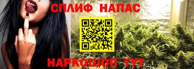 дмт Камышлов