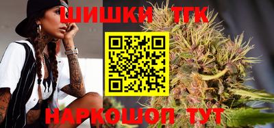 дмт Камышлов