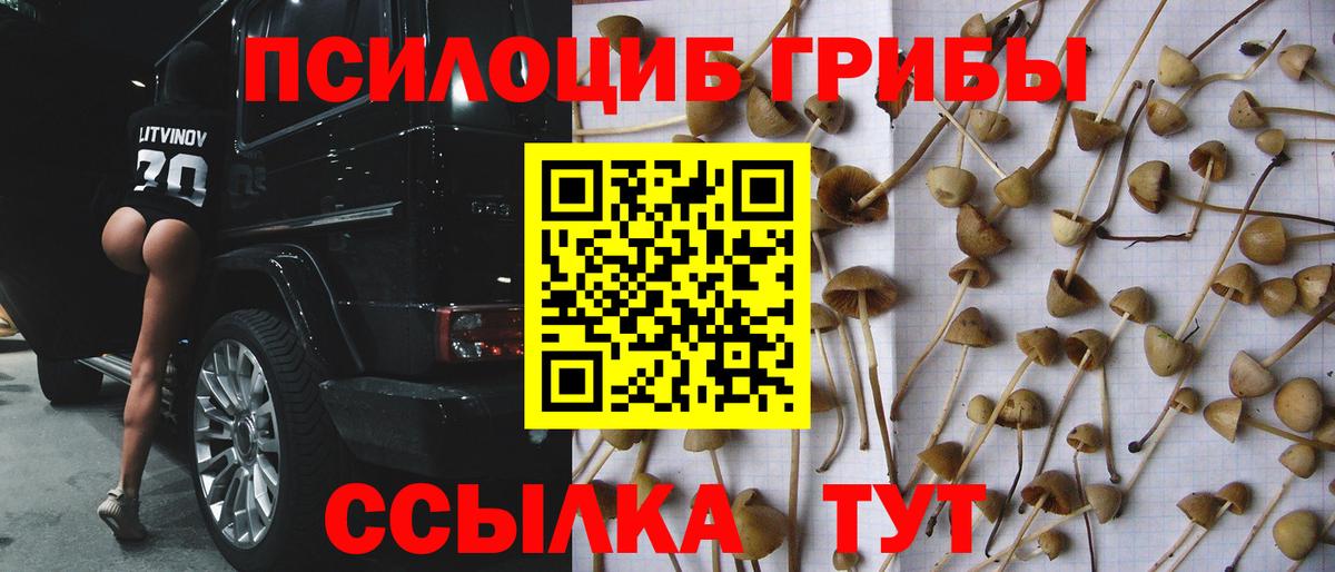 Коломна  Галлюциногенные грибы Cubensis  Галлюциногенные грибы прущие грибы  Вход с VPN 